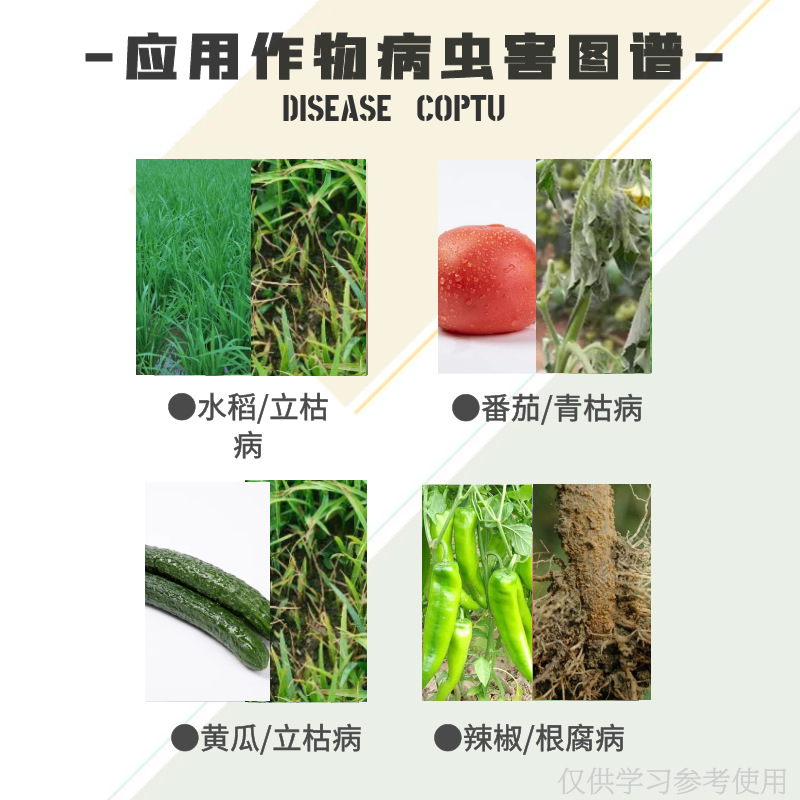 Bainongstar 30% Methamphetamine, Methamphetamine, Rice Seedling Stage Wilt Pesticide, Soil Fungicide