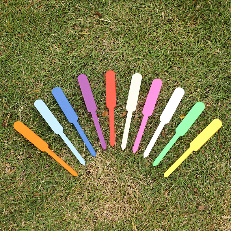 Factory supply gardening label fleshy green plant flowers plant potted stick type flower logo flower pot card wholesale