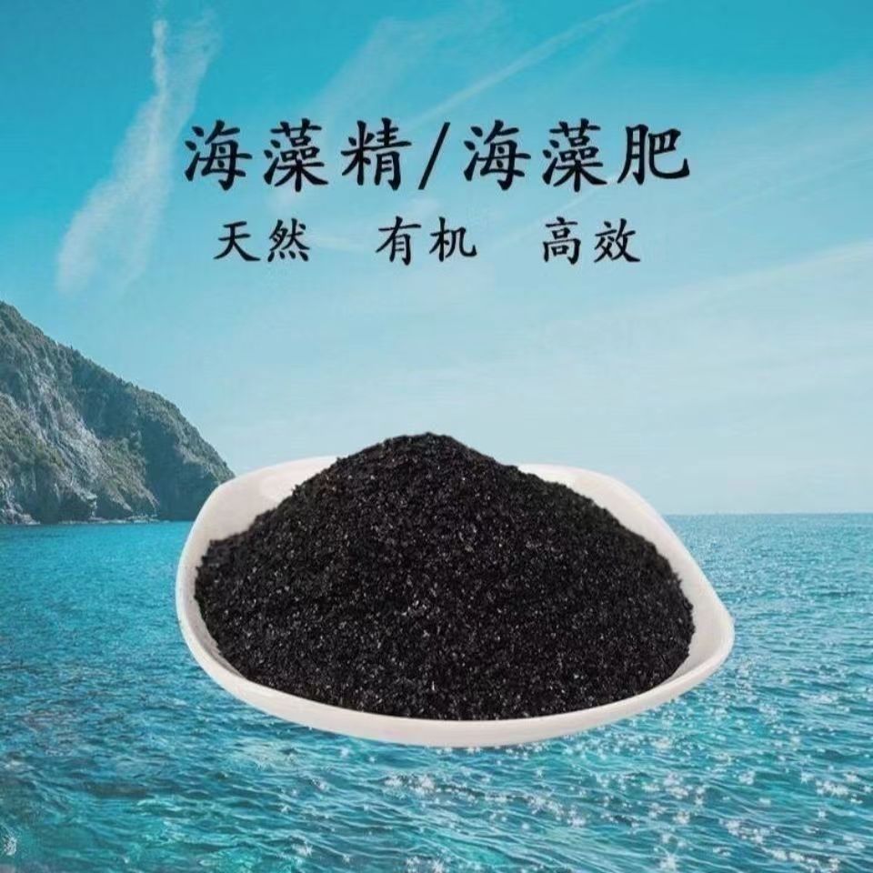 Экстракт водорослей, агент для укоренения фруктов и овощей, водорастворительное удобрение, улучшение укоренения и рассады, улучшение почвы, стимуляция корней и рассады, агрономический экстракт водорослей