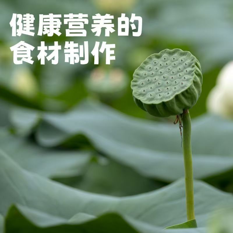 Lotus crisp instant fragrant crisp core lotus crisp snack bags source manufacturers wholesale a generation of hair