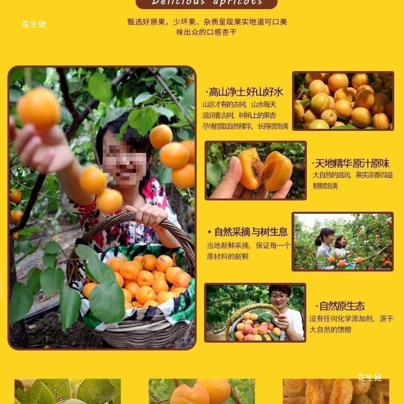New Arrival Dried Apricots 500g Bulk Apricots Dried Apricot Meat Snacks for Kidsren and Pregnant Women Dried Fruits Candied Fruits Seedless