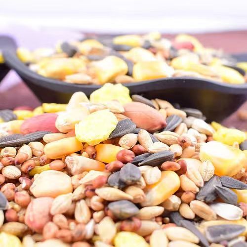 Hamster Food Feed Staple Fruit and Vegetable Hamster Food Mealworm Factory Wholesale