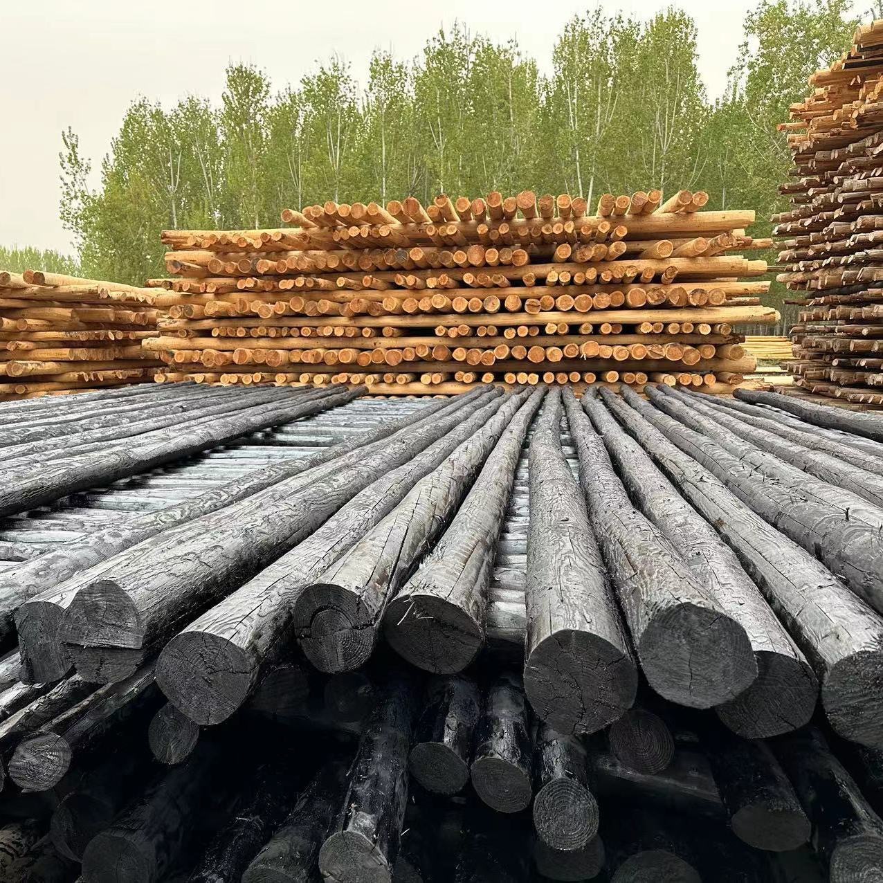Corrosion-Resistant Oil-Treated Wooden Poles for Communication and Power, Wooden Electric Poles, 6m 7m 8m 9m Oil-Treated Wooden Poles