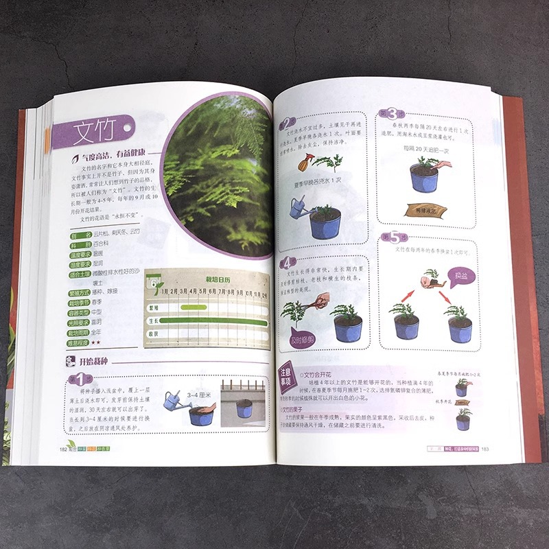 Balcony Vegetable Species Flower Species Vanilla Garden Dendrology Floriculture Floriculture Vegetable Books