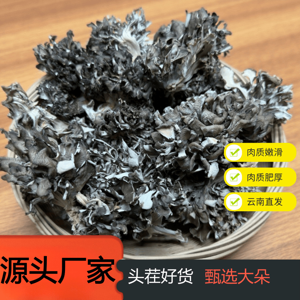 [Отобранная грифола фрондоза из Юннани] Первый новый продукт Юннани, безсерный сушеный продукт, отправленный напрямую с места происхождения