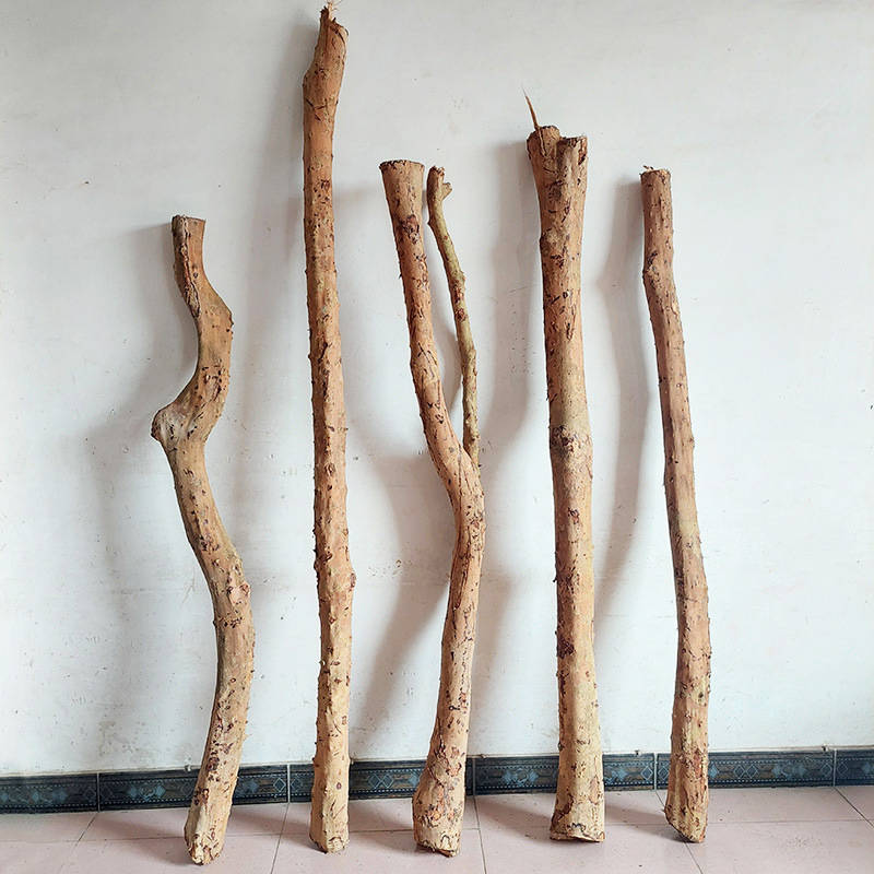 Ready-Made Dry Branches for Indoor and Outdoor Decoration Materials, Tree Trunks, Fence Materials, Wood Branches, Rattan, Over-The-River Dragon, Yellow Oxwood
