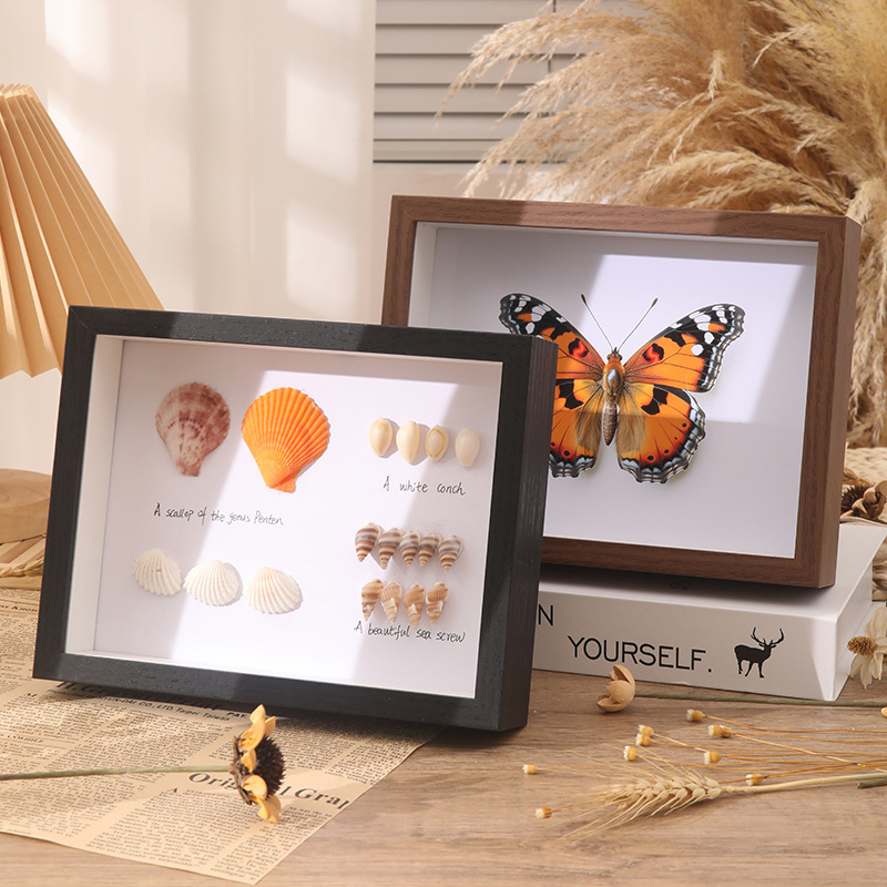 Hollow Photo Frame Customized Dried Flower Photo Frame Table High-End Insect Shell Building Blocks Butterfly Specimen Framed Picture Frame