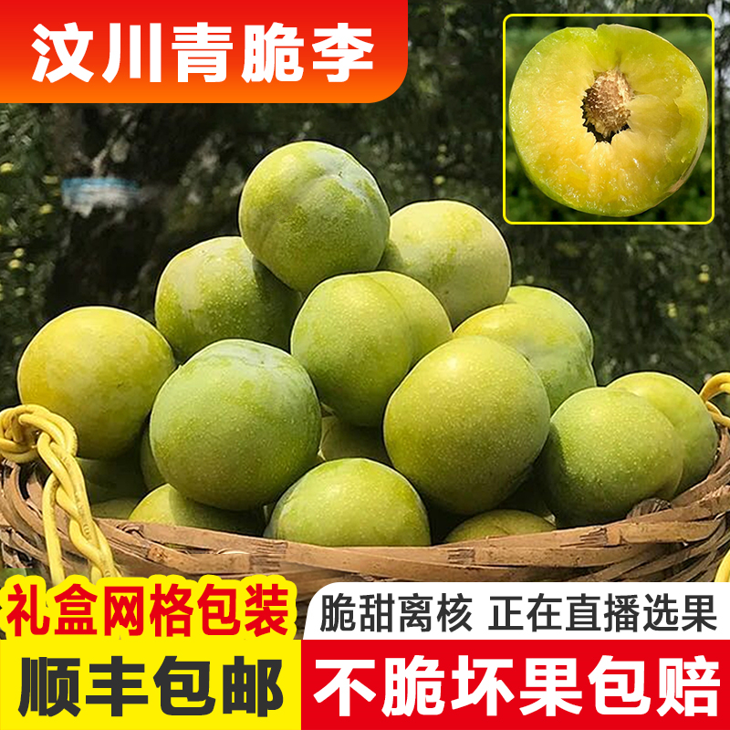 Fresh Hollow Seasonal Sweet and Sour Fruit from Wenchuan Qingcui Plums, Honey Ice, Wushan Hongyin, Boneless Plums from Sichuan