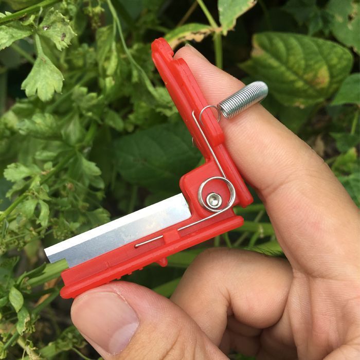 Small guillotine picking artifact finger picking ring knife picking vegetable picking tool picking beans grape pinch beard tip picker