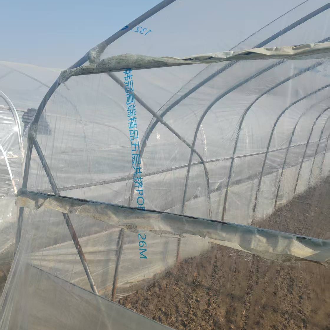 Longevity Greenhouse Film PO Greenhouse Dripless Black and White Farming Film Sunscreen Transparent Insulation Film Silage Film Vegetable Wholesale