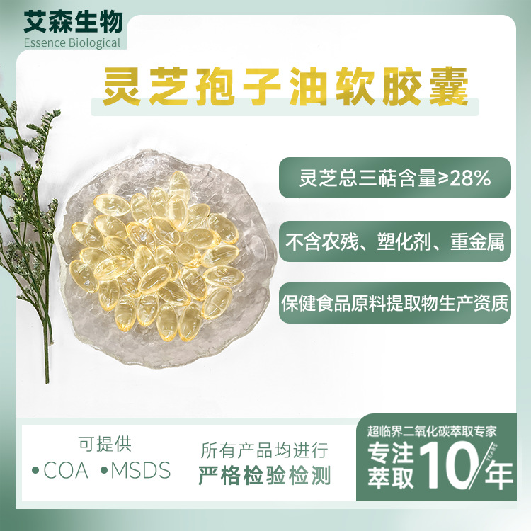 Масло спор Ганодермы Лусидум в мягких капсулах, экстракт Ганодермы Лусидум 500 мг, Сансян, 28%, сырье для здоровья, производитель