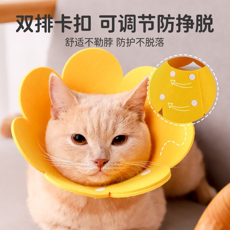 Elizabeth Headgear Cat Sterilization Collar Anti-Licking Collar Collar British Short Cat and Dog Pet Supplies Artifact