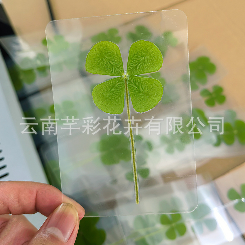 Four-Leaf Clover Dried Flower Embossed Clover Bookmark Plant Specimen DIY Glue Sticker Toddler Teaching Embossed Material
