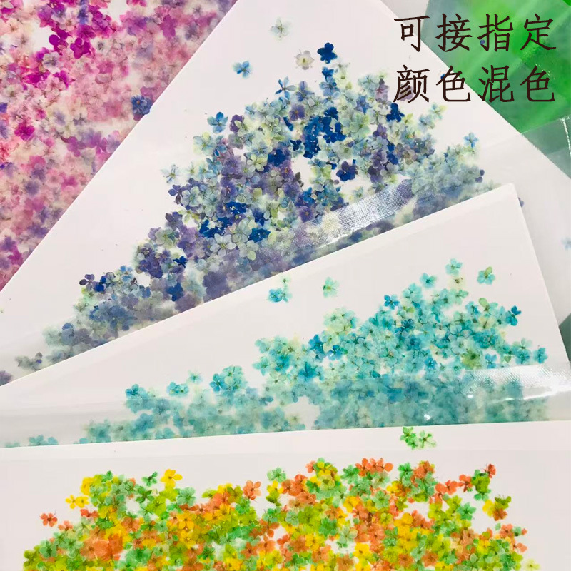 Оптовая продажа японских сухих цветов для ногтей, настоящие цветы, мини-сухие цветы в стиле Ins, тисненые цветы, прямая поставка от производителя