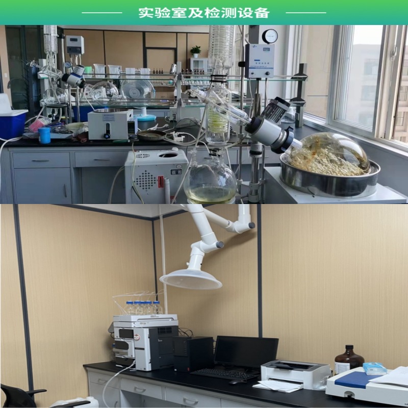 Sea Buckthorn Powder, Sea Buckthorn Fruit Powder, Water-Soluble Fruit and Vegetable Meal Replacement Powder, Ready Stock, Free Shipping, Large Quantity, Favorable Sea Buckthorn Puree Powder