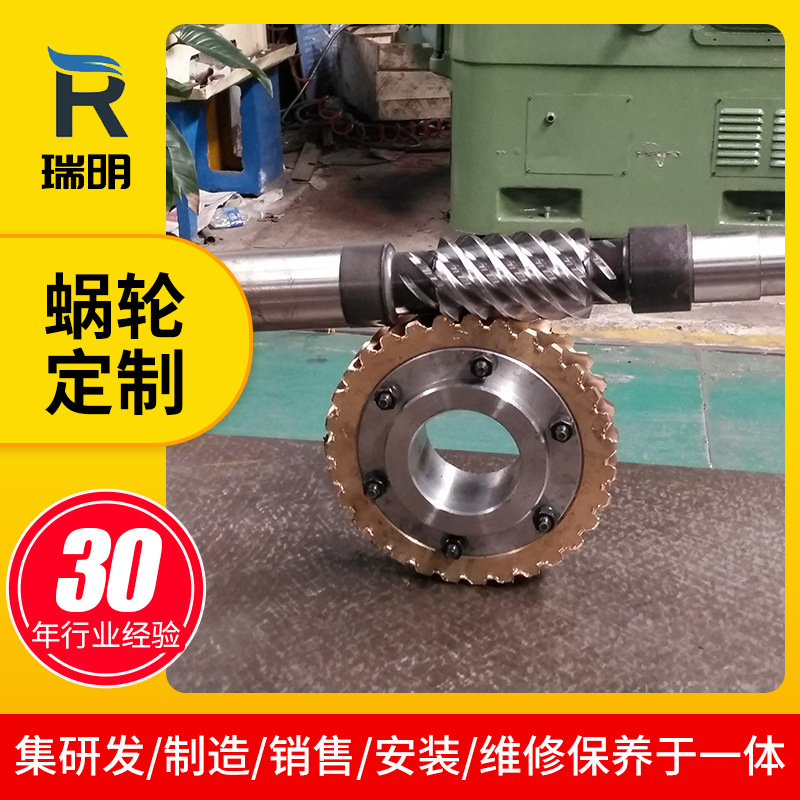 Ruiming Reducer Plant Sales Plane Secondary Envelope Toroidal Worm Gear Worm Support Customized According to the Drawing