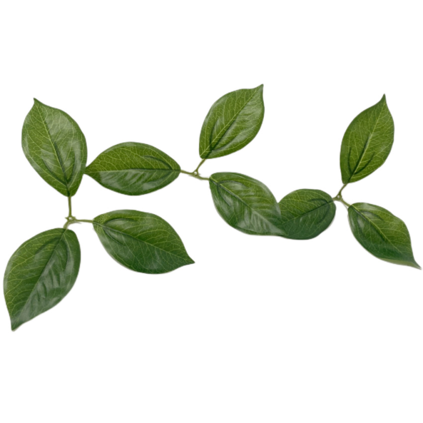 Simulation plant simulation lemon leaf fake leaf accessories film material factory direct sales