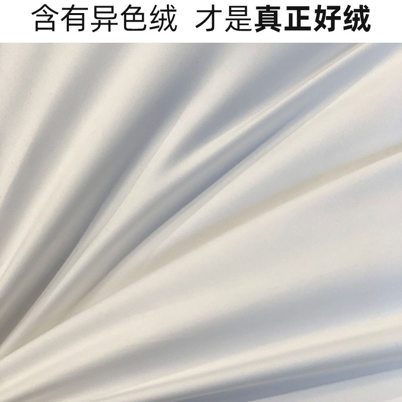 High-End Russian Five-Star Hotel Goose down Pillow down Pillow Core Antibacterial Cloud Sleeping Feeling 95% White Goose down Pillow