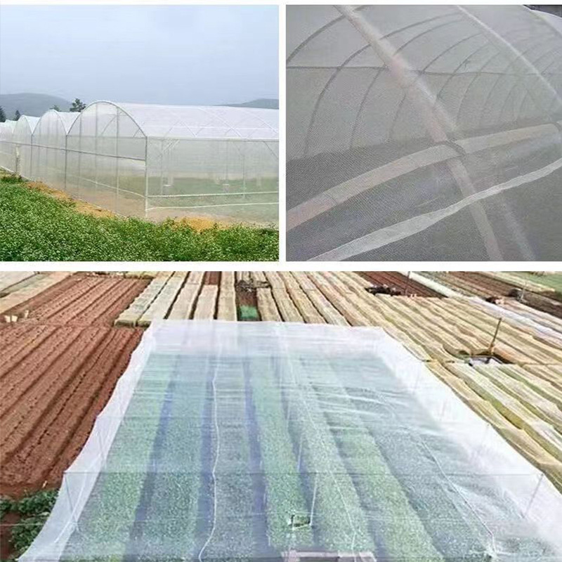 Cross-border Plant Protection Net Vegetable and Fruit Tree Orchard Agricultural Insect-proof Net Cover Gauze Net Greenhouse Special Vegetable 60 mesh