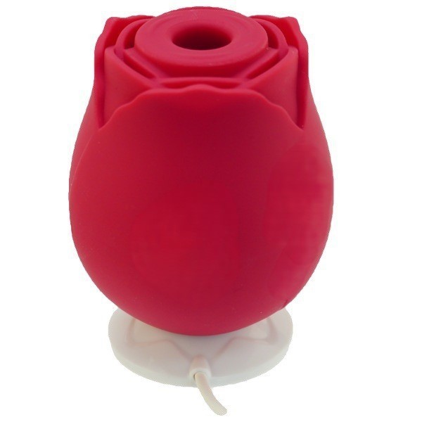 Factory wholesale meet Huan roses jump egg fun supplies sucking masturbation vibration vibrator adult sex products