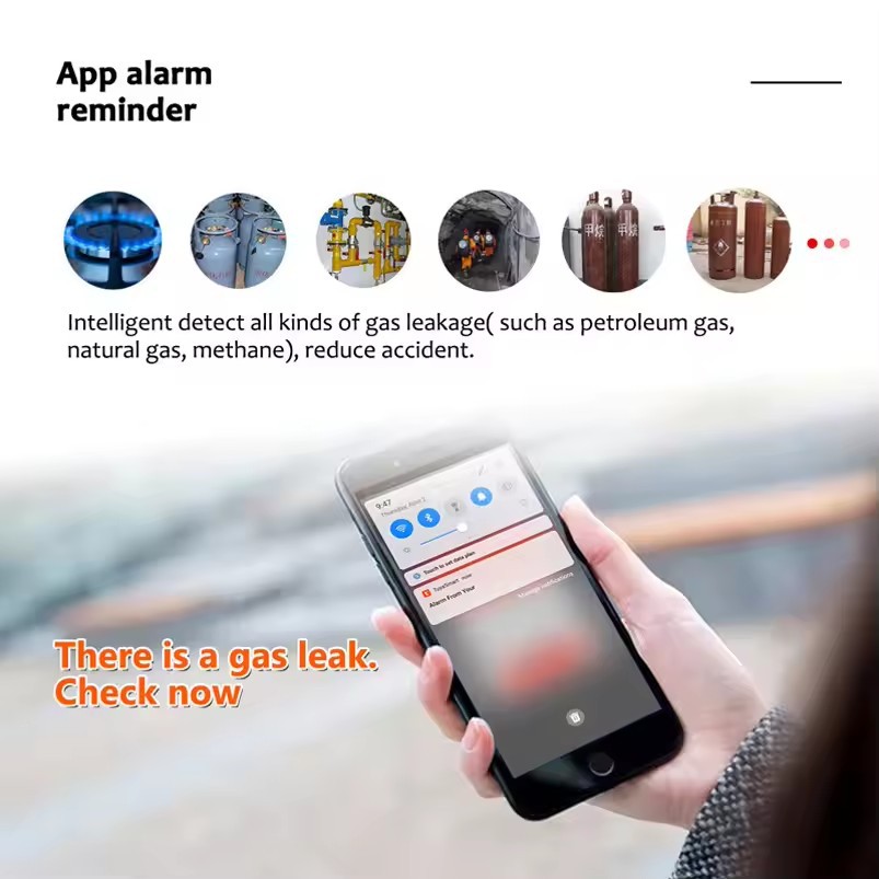 Tuya App Gas Sensor Wifi Natural Gas Methane Biogas Leak Tuya Detector Gas Alarm Temperature Detection