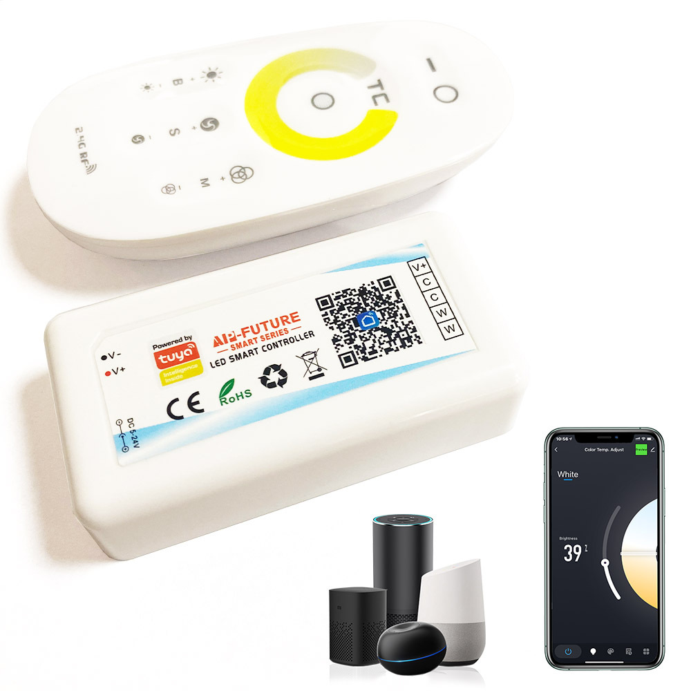 Tuya Smart App Led Controller Huiying Factory Direct Sales Tuya Dual Color Temperature Cct Light Strip Controller