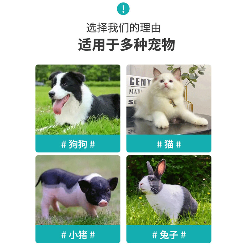 Pet Beauty Table Bath Blowing and Shearing Beauty Round Table Air Pressure Lift Rotating Cat and Dog Beauty Round Table Hanger Bracket