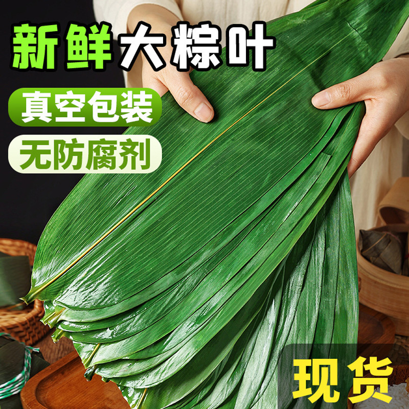 Свежие листья рисовых зондзи оптом чисто натуральные дикие листья рисовых зондзи большого размера вакуумная упаковка для домашнего использования во время праздника драконьих лодок