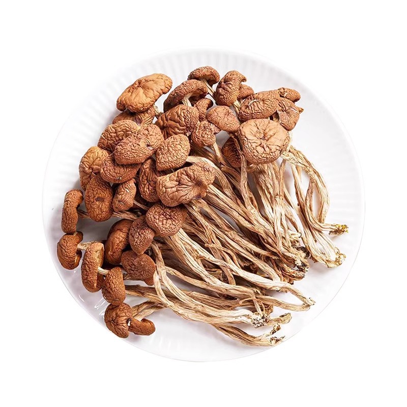 2025 Yunnan Farmhouse Dried Tea Tree Mushrooms Selected Unopened Umbrella Cut Root Fresh Tea Tree Mushrooms Shiitake Mushrooms 250g