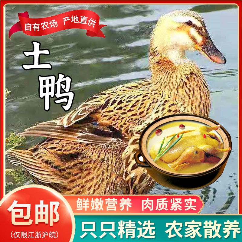 Фермерское хозяйство Консянцин свободно выращенная утка маленькая цельная утка сырое утиного мяса свежие ингредиенты замороженная утка Конъянг