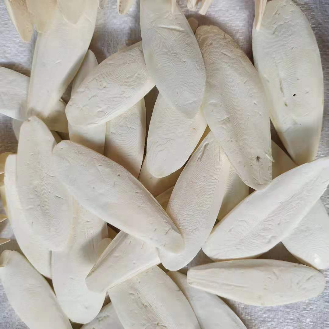 Factory Direct Hair Jellyfish, Cuttlefish Bone Polishing, Bird Pet Teeth Grinding, Calcium Supplement Pieces, Various Specifications