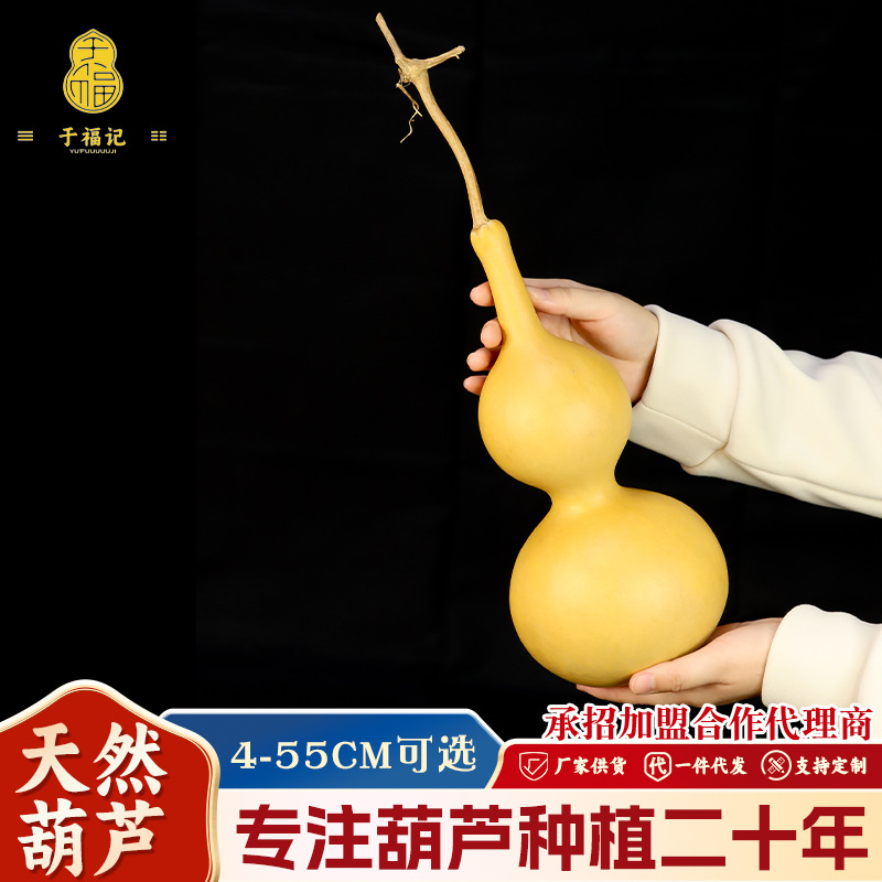 Natural Gourd Hand-Twisted Small Gourd Wholesale Hand-Held Dragon Head Ornament Large Gourd Ornament