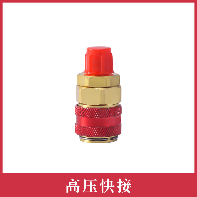 134 Quick Connector Qc-12 Plus Refrigerant Straight Connector Car Air Conditioner Plus Fluoride Connector R134A Quick Connector