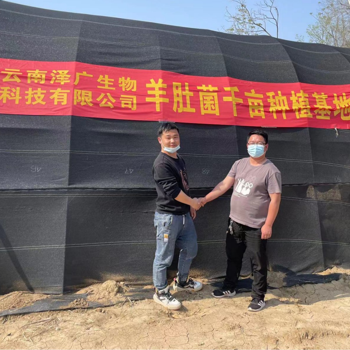 Morchella dry goods Yunnan morchella bulk edible first stubble field raw morchella dry goods wholesale