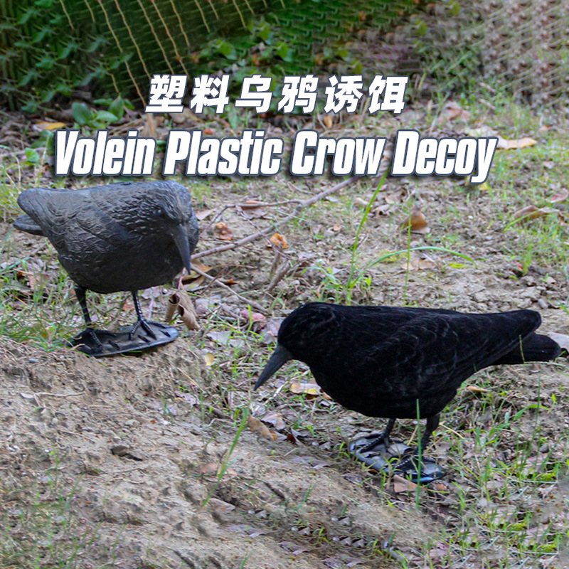 Cross-Border Simulation Crow Bird Repellent Ornaments Halloween Natural Decoration Garden Props Rat Repellent Creative Crafts