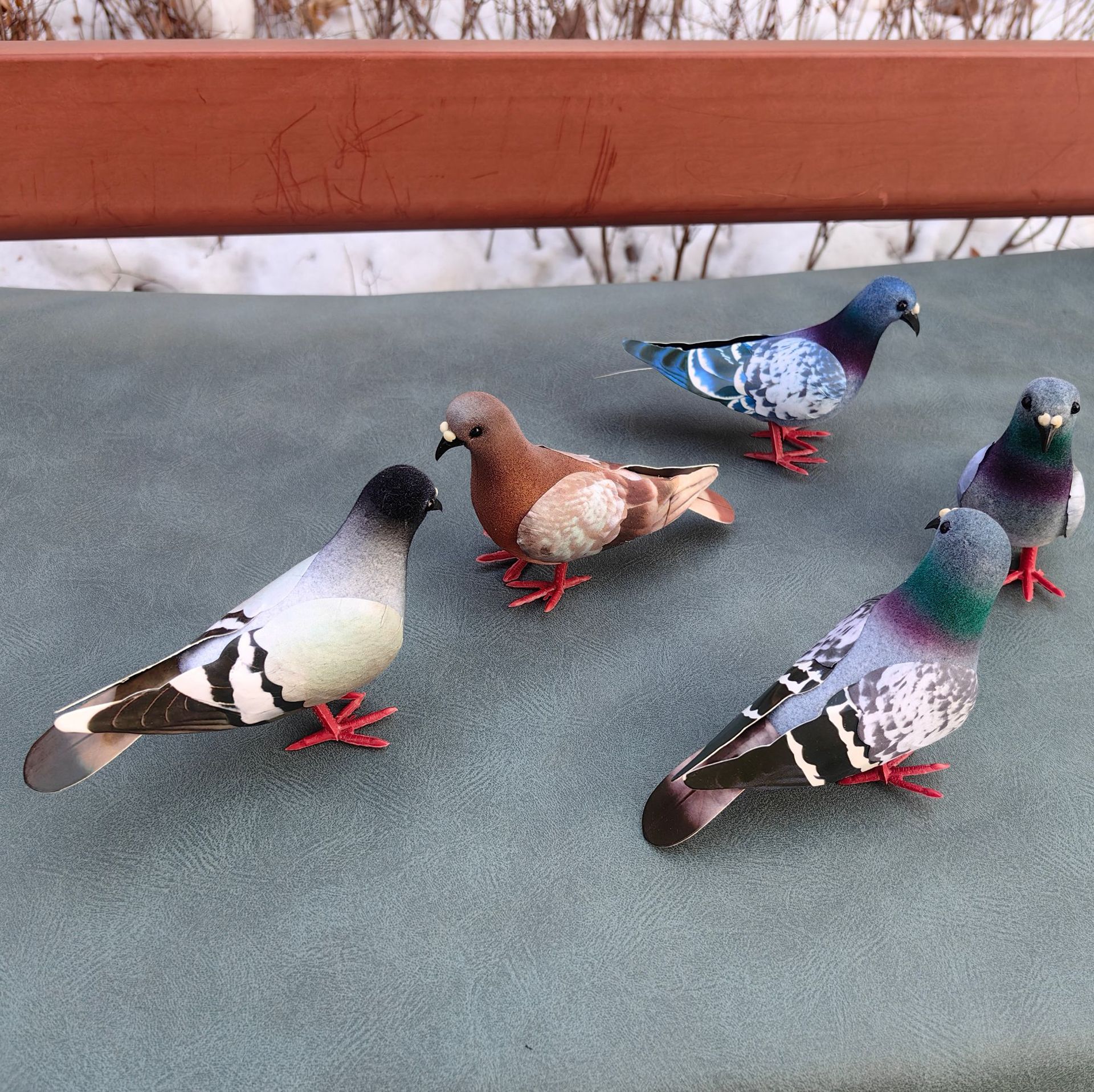 Симуляция диких голубей | горлицы | оперенные голуби