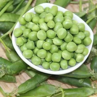Fresh Peas from Yunnan Plateau, Large Shelled Peas, Sugar Snap Peas, Direct from the Base