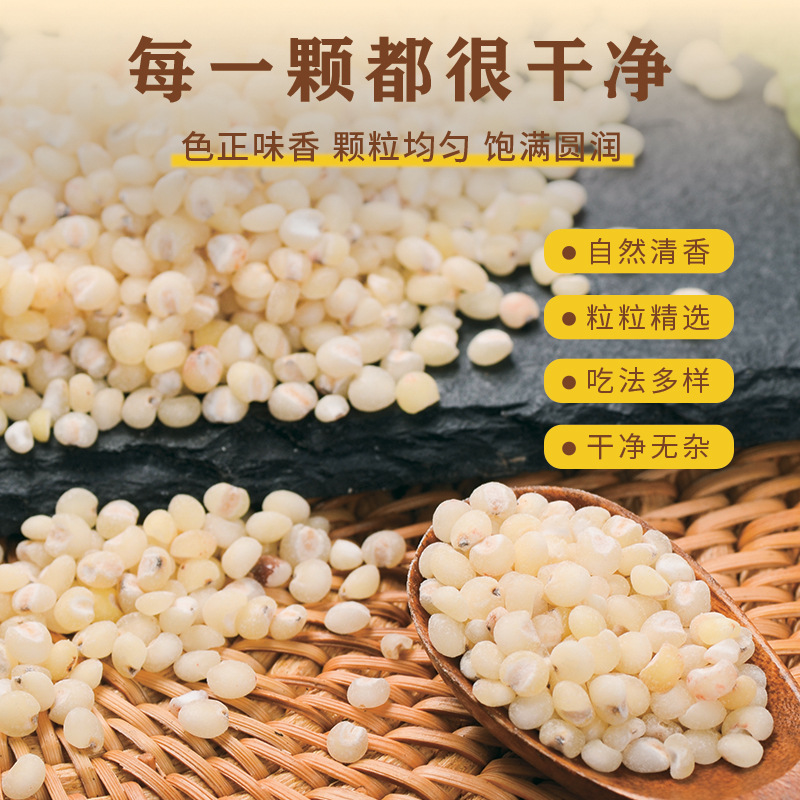 Sorghum Rice Grain New Rice Sorghum Kernel Coarse Grain Porridge Wine Ciba Northeast Sorghum Rice in stock Wholesale
