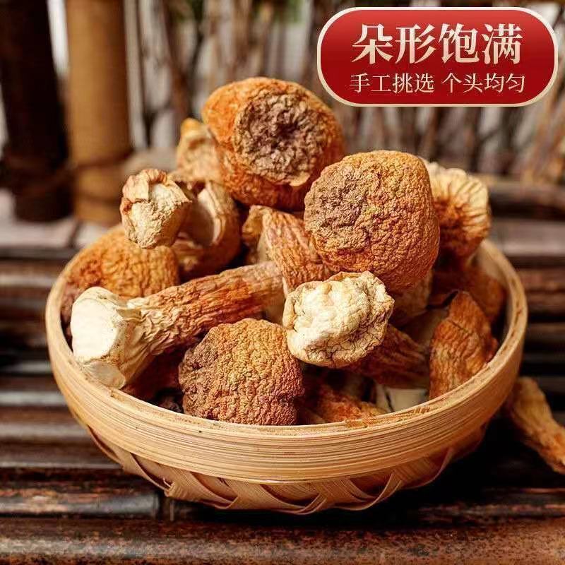 Agaricus blazei dried goods Yunnan specialty Tricholoma matsutake mushroom seasonal fresh mushroom mushroom soup stewed meat nutritious and delicious