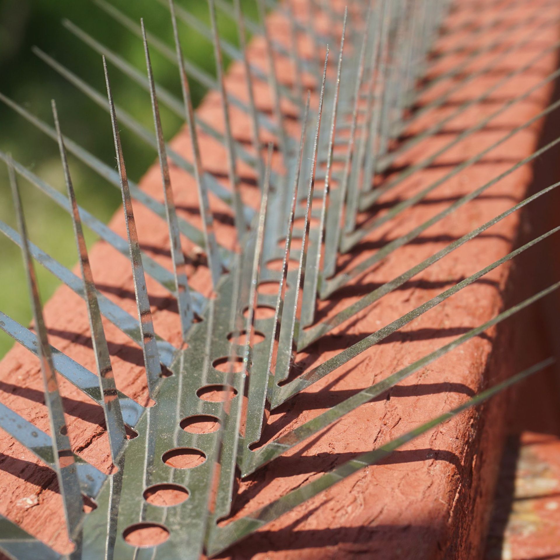 Stainless Steel Spikes to Prevent Cats from Scratching, Iron Spikes for Guardrails, Fences, Balconies, Spiked Boards, Spikes for Schools, Stainless Steel Spikes to Prevent Cats from Scratching