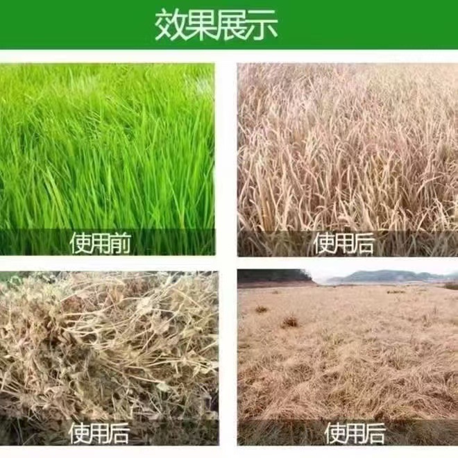 Cyclazinone Weed Killer and Root Rot Agent Sweeps Away Large Trees, Bamboo Root Rot Powder, Shrubs, Powerful Granules to Kill Trees