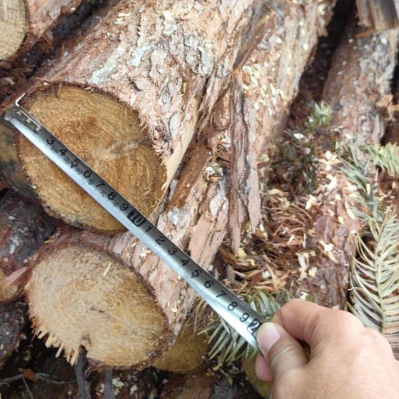 Wholesale of Original Source of Fir Wood Piles