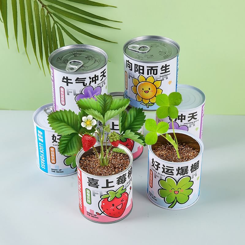 Canned Planting Mini DIY Popular Planting Small Potted Jar Student Creative Gift Potted Plant Blind Box