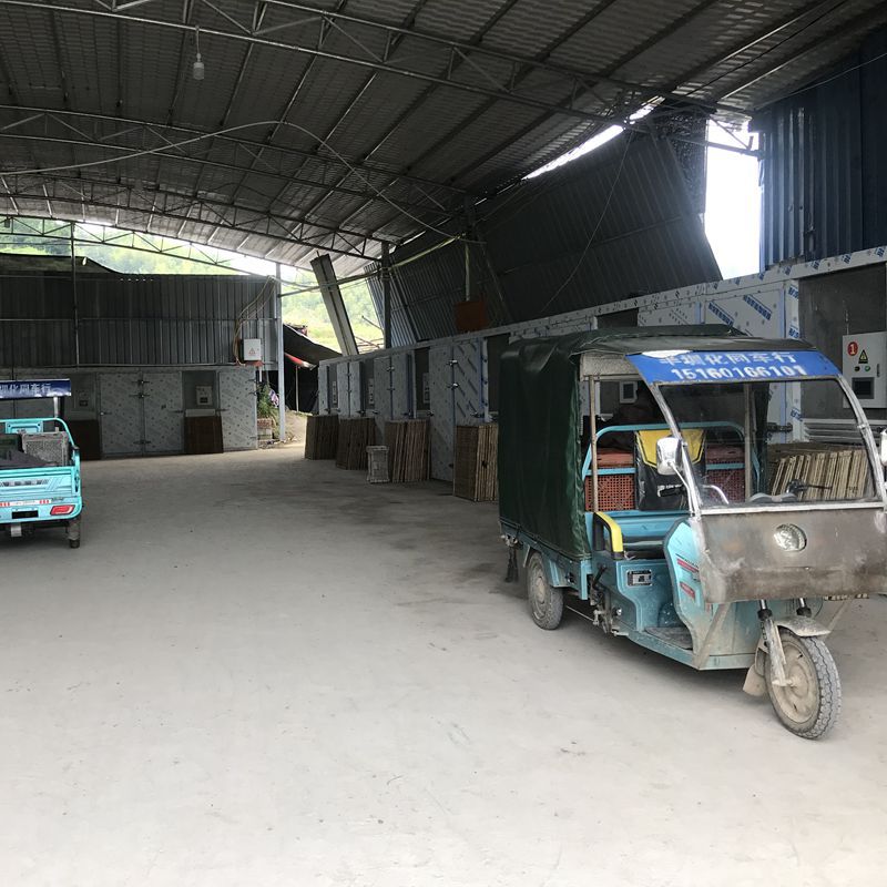 [Stain Straight Hair] Gutian Unopened Tea Tree Mushroom Dried Goods Bulk Wholesale Tea Tree Mushroom 500g Direct Sales from Origin