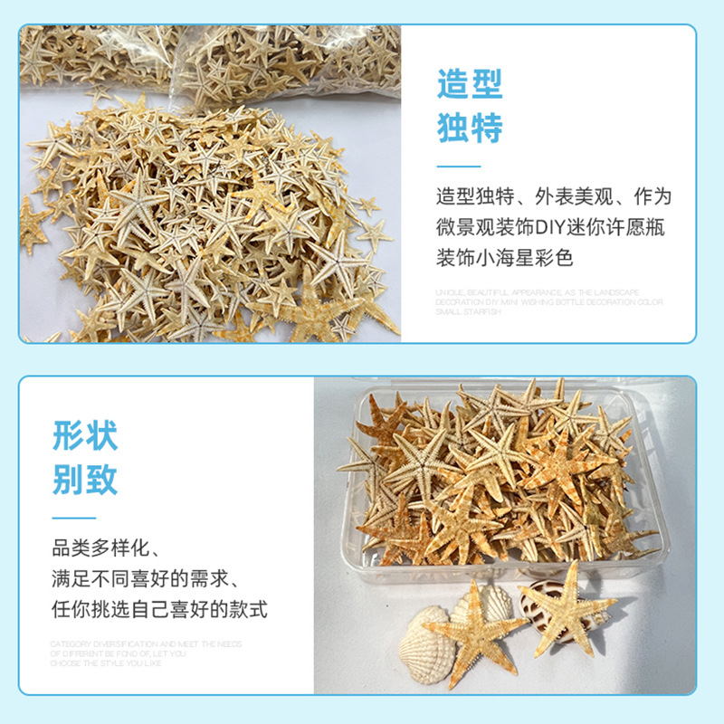 Spot wholesale mini starfish DIY handmade decorative materials jewelry accessories crystal drop glue fish tank landscaping starfish