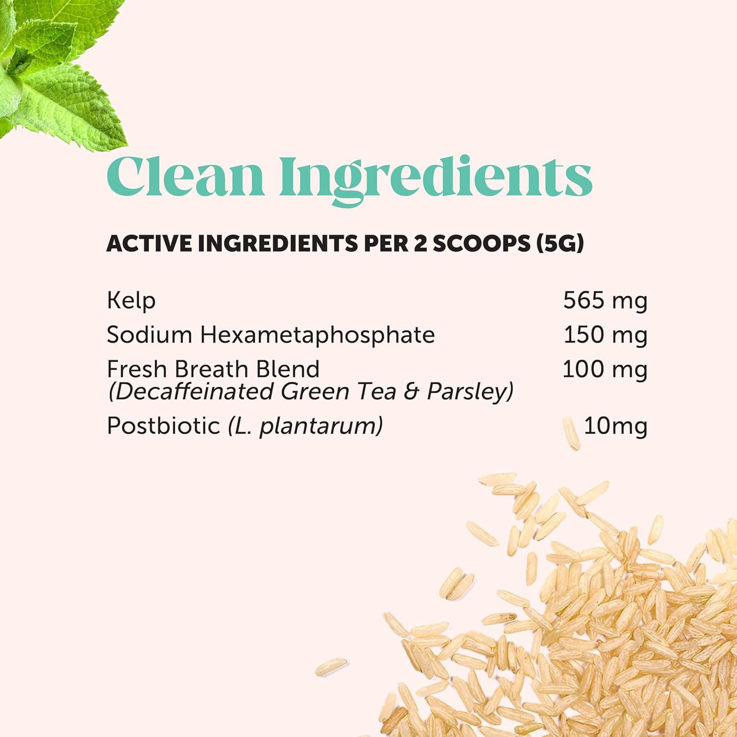 TK American District Hot Dog Teeth Cleaning Mouth Fresh Powder with Natural Herb and Probiotics Factory Wholesale