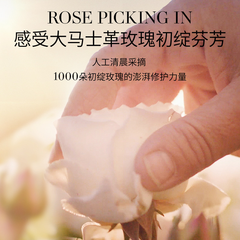 Pure Doctor White Rose Fresh Extract Essential Oil Floral Water Moisturizing and Moisturizing Toning Essence Water Brightens Skin Pure Dew Essence