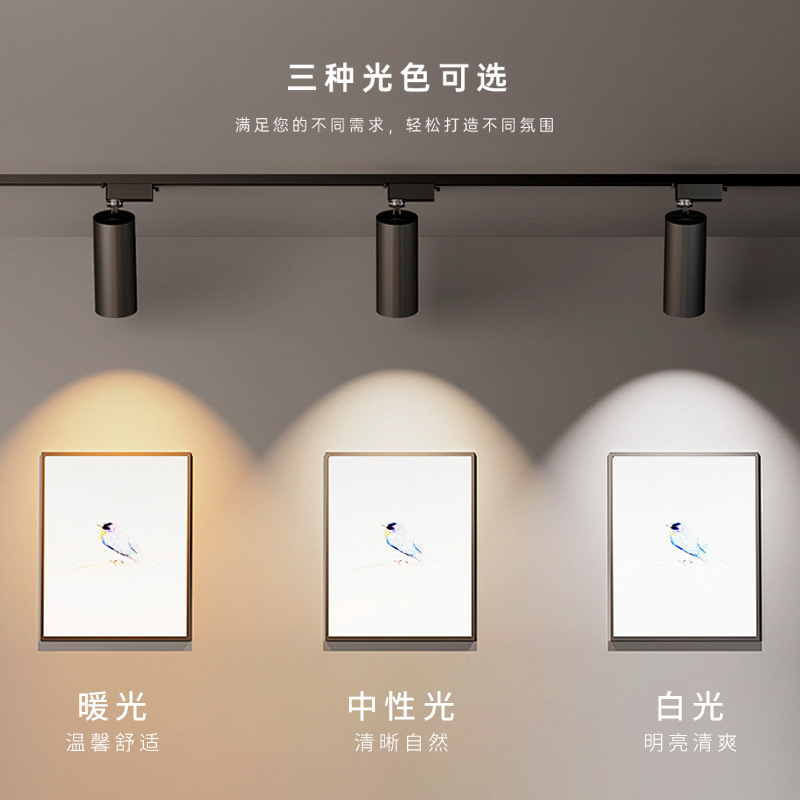 LED track lights 30W commercial lighting wholesale open-fitting hotel track spotlights COB spotlight clothing store track lights