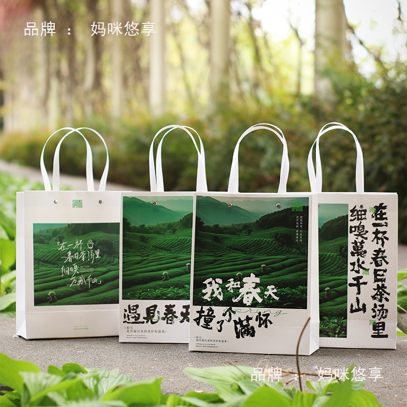 Spring Tea New Handbag Green Tea New Tea Packaging Bag Mingqian Longjing Biluochun Huangshan Maofeng Anji White Tea Gift