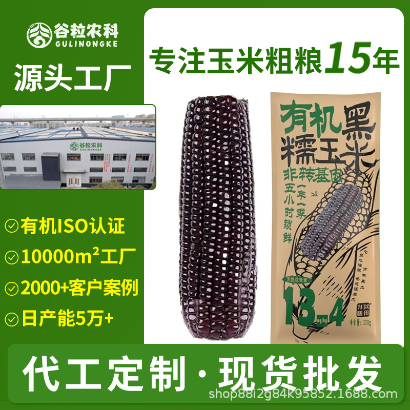 Желтая кукуруза, черная кукуруза, органическая кукуруза, фруктовая кукуруза, северо-восточная восковая кукуруза, свежая кукуруза, сладкая кукуруза, готовая к употреблению кукуруза